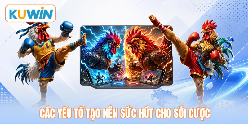 Các yếu tố tạo nên sức hút cho sới cược Các yếu tố tạo nên sức hút cho sới cược