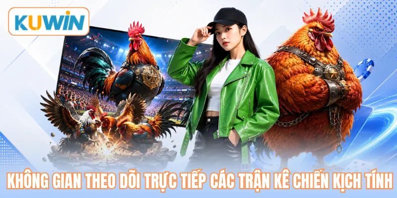 Không gian theo dõi trực tiếp các trận kê chiến kịch tính